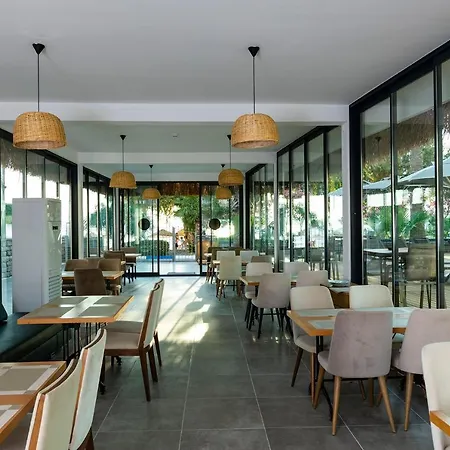 Anemon Kent トラブゾン