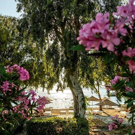 Szálloda Anemon Kent Trabzon