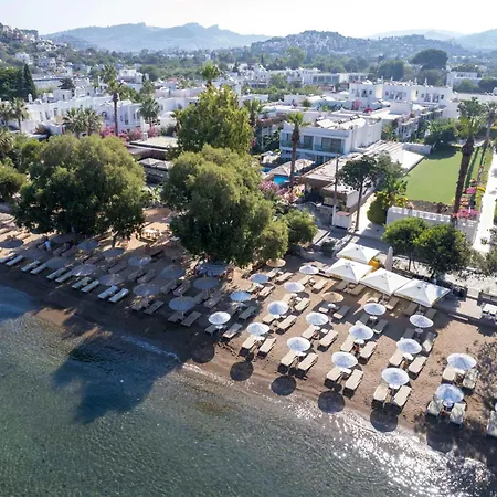 Szálloda Anemon Kent 4*