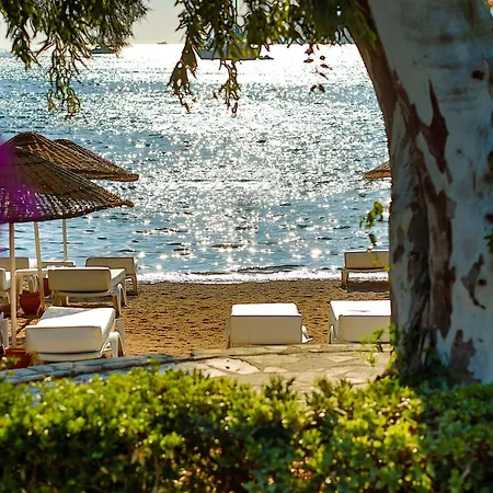 Anemon Kent Hotell Trabzon