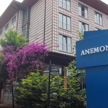 Anemon Kent Trabzon 酒店 4*