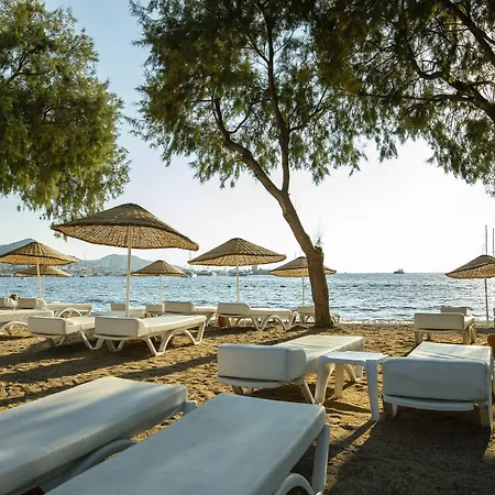 Hotell Anemon Kent 4*