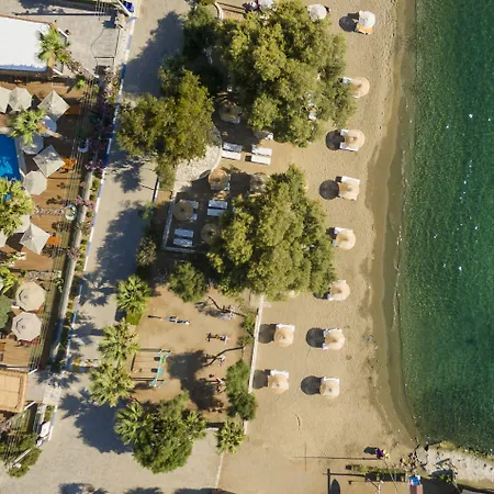 Hotell Anemon Kent Trabzon